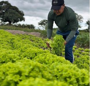 28 de Julho | Dia do Agricultor