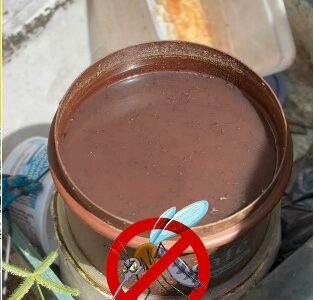 Agentes de Endemias em ação! 