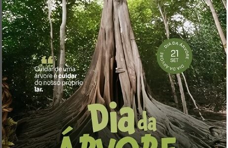 Dia da Árvore