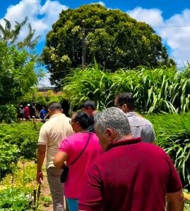 Troca de experiências e novos aprendizados no campo!