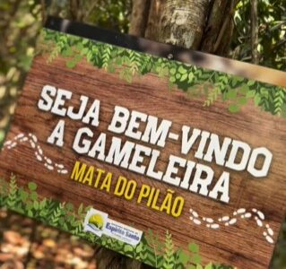 Os festejos já começaram!